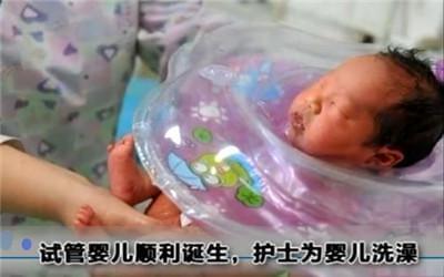 专业同志代怀服务收费标准